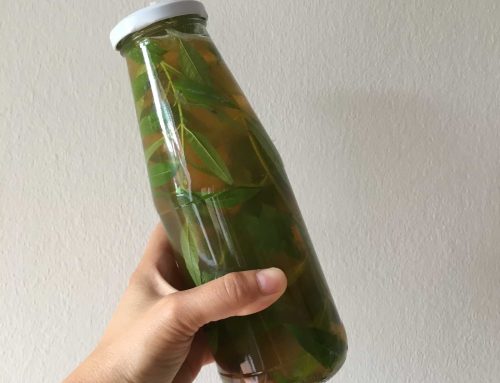 Energy drink alla prugna umeboshi
